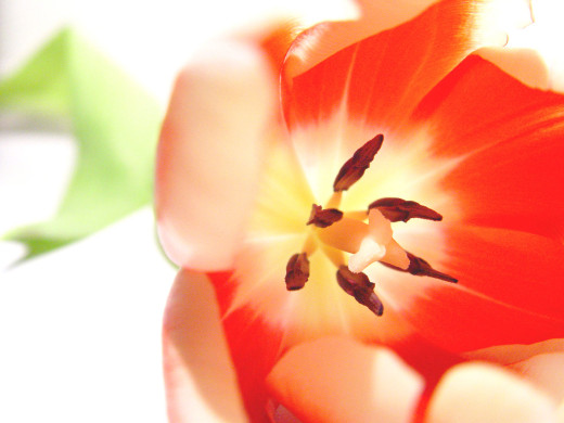 426456 (a): :1600x1200